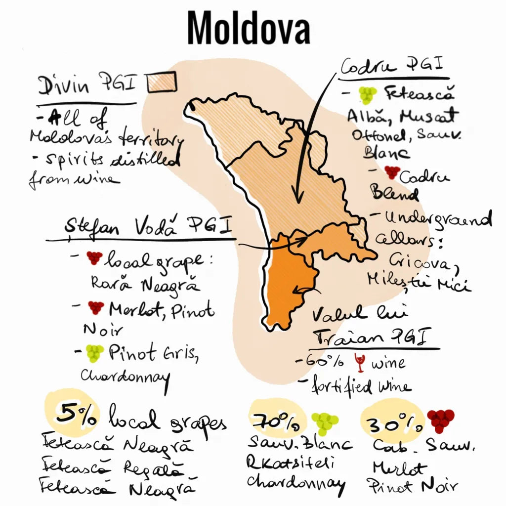 Understanding Moldovan Wine Grapes: 4 Native Varieties You Need to Know - InKnotts Wine Ltd